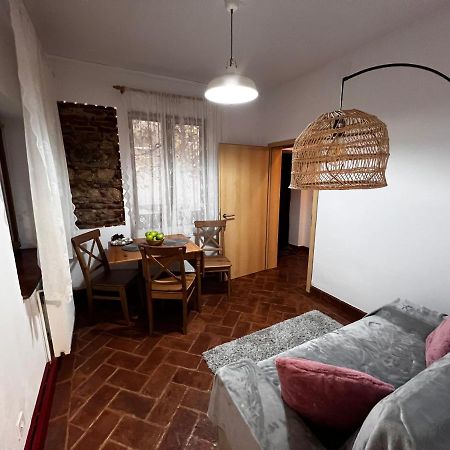 Ferienwohnung Eden Garden Brașov Exterior foto